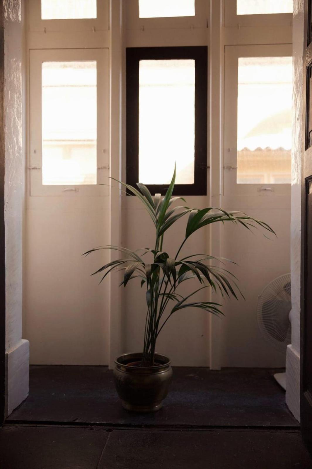 Grand House Of Character Valletta Floriana Zimmer foto
